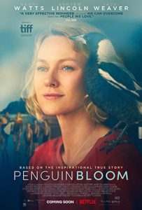 Penguin Bloom (2021) - ดูหนังออนไลน์ Kodsanook
