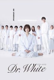 ดูซีรี่ย์ Doctor White (2022) ปริศนาลับคุณหมออัจฉริยะ ซับไทย ตอนที่ 1-10 | Kodsanook