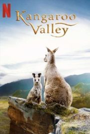 ดูหนัง Kangaroo Valley (2022) หุบเขาแห่งจิงโจ้ ซับไทย เต็มเรื่อง | Kodsanook