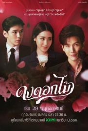 ดูซีรี่ย์ ดงดอกไม้ (2022) Desirable Flowers พากย์ไทย เต็มเรื่อง | Kodsanook