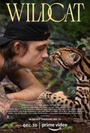 ดูหนัง Wildcat (2022) ซับไทย เต็มเรื่อง | Kodsanook