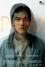 p-zerofourseven