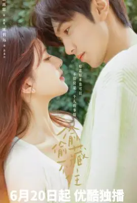 Hidden Love