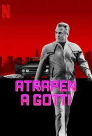 Get Gotti