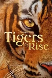 Tigers on the Rise (2024) - ดูหนังออนไลน์ Kodsanook