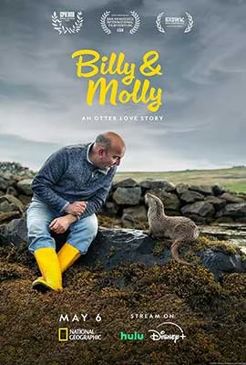 Billy & Molly An Otter Love Story (2024) - ดูหนังออนไลน์ Kodsanook