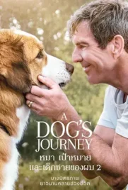 A Dog’s Purpose (2017) - ดูหนังออนไลน์ Kodsanook