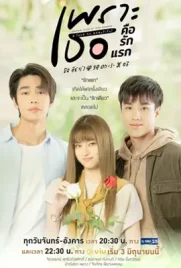 A Love So Beautiful - ดูหนังออนไลน์ Kodsanook