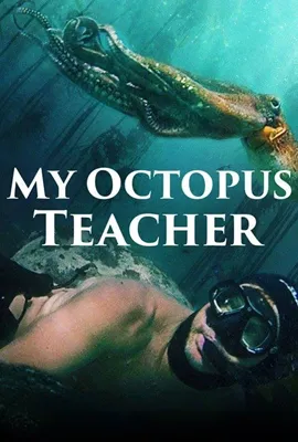 My Octopus Teacher (2020) - ดูหนังออนไลน์ Kodsanook