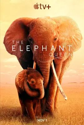 The Elephant Queen - ดูหนังออนไลน์ Kodsanook