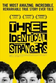 Three Identical Strangers - ดูหนังออนไลน์ Kodsanook