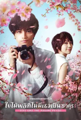 Until The Cherry Blossom Falls (2020) - ดูหนังออนไลน์ Kodsanook
