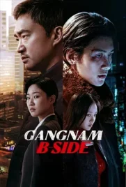 Gangnam B Side (2024) - ดูหนังออนไลน์ Kodsanook