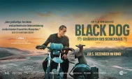 รีวิวหนังใหม่ Black Dog (2024) สี่ขาหัวใจไม่ดำ - ดูหนังออนไลน์ Kodsanook