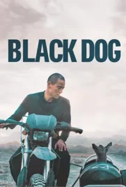 Black Dog - ดูหนังออนไลน์ Kodsanook