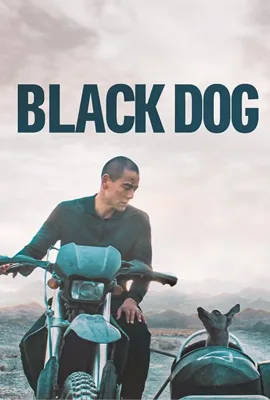 Black Dog - ดูหนังออนไลน์ Kodsanook