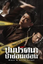 Black and White Forest (2024) - ดูหนังออนไลน์ Kodsanook