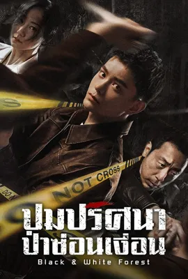 Black and White Forest (2024) - ดูหนังออนไลน์ Kodsanook