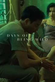 Days of Being Wild - ดูหนังออนไลน์ Kodsanook