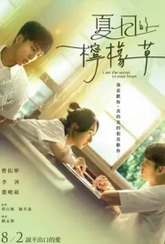 I am the Secret in Your Heart - ดูหนังออนไลน์ Kodsanook