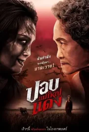 The Haunted Granny - ดูหนังออนไลน์ Kodsanook