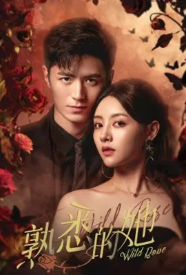 Wild Rose (2025) - ดูหนังออนไลน์ Kodsanook