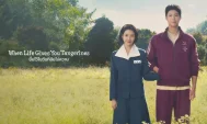 review When Life Gives You Tangerines 2025 - ดูหนังออนไลน์ Kodsanook