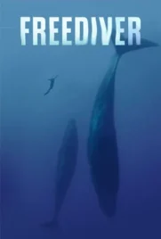 Freediver - ดูหนังออนไลน์ Kodsanook