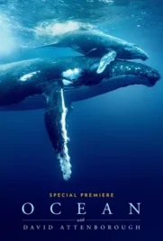 Ocean with David Attenborough - ดูหนังออนไลน์ Kodsanook