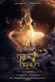 Lost in the Woods (2025) - ดูหนังออนไลน์ Kodsanook