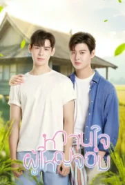 My Sweetheart Jom (2025) - ดูหนังออนไลน์ Kodsanook