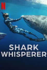 Shark Whisperer - ดูหนังออนไลน์ Kodsanook