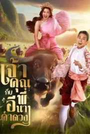 My Sassy Wedding - ดูหนังออนไลน์ Kodsanook
