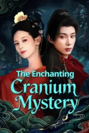 the enchanting cranium mystery